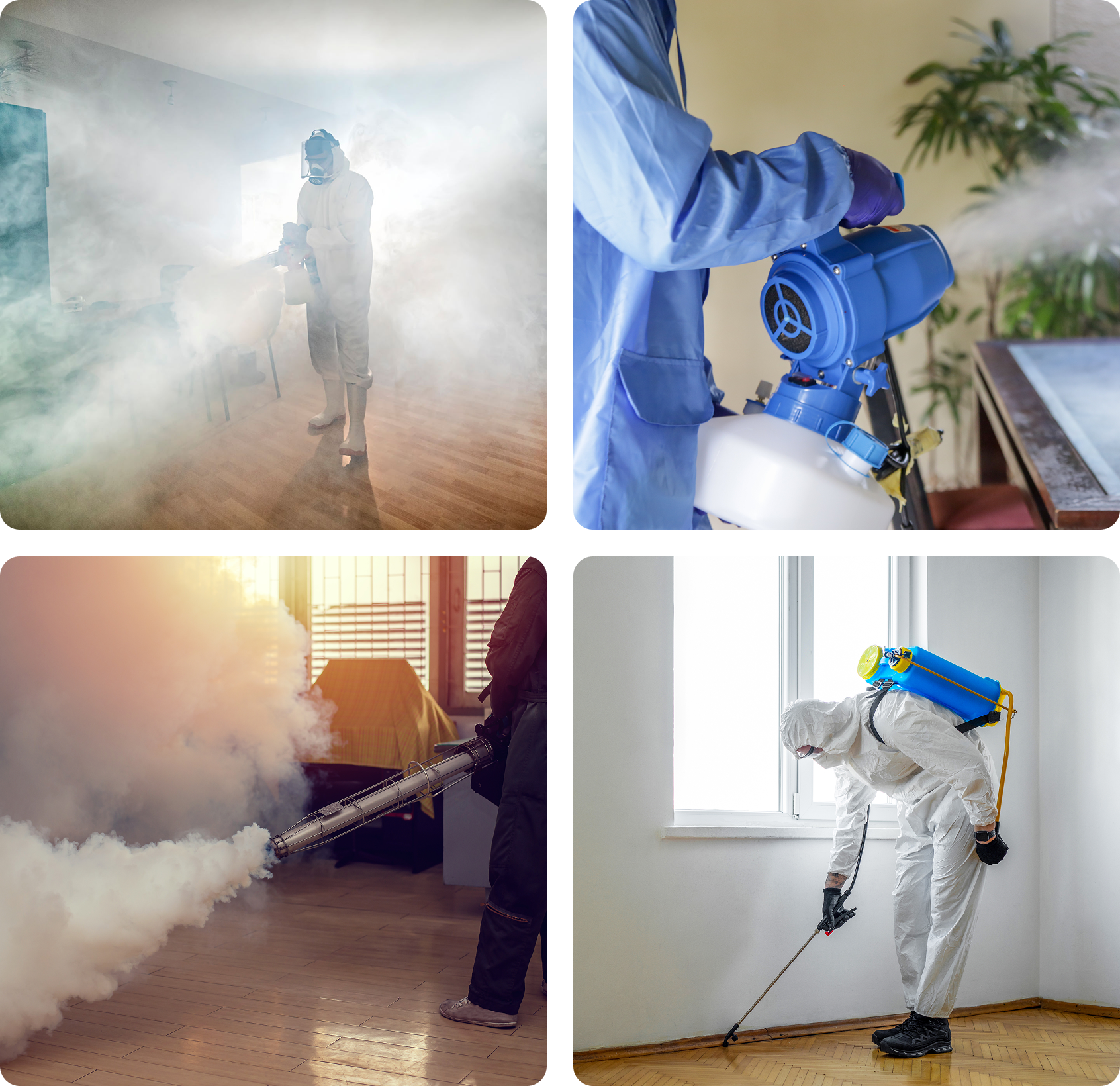 Fogging disinfection in various indoor settings